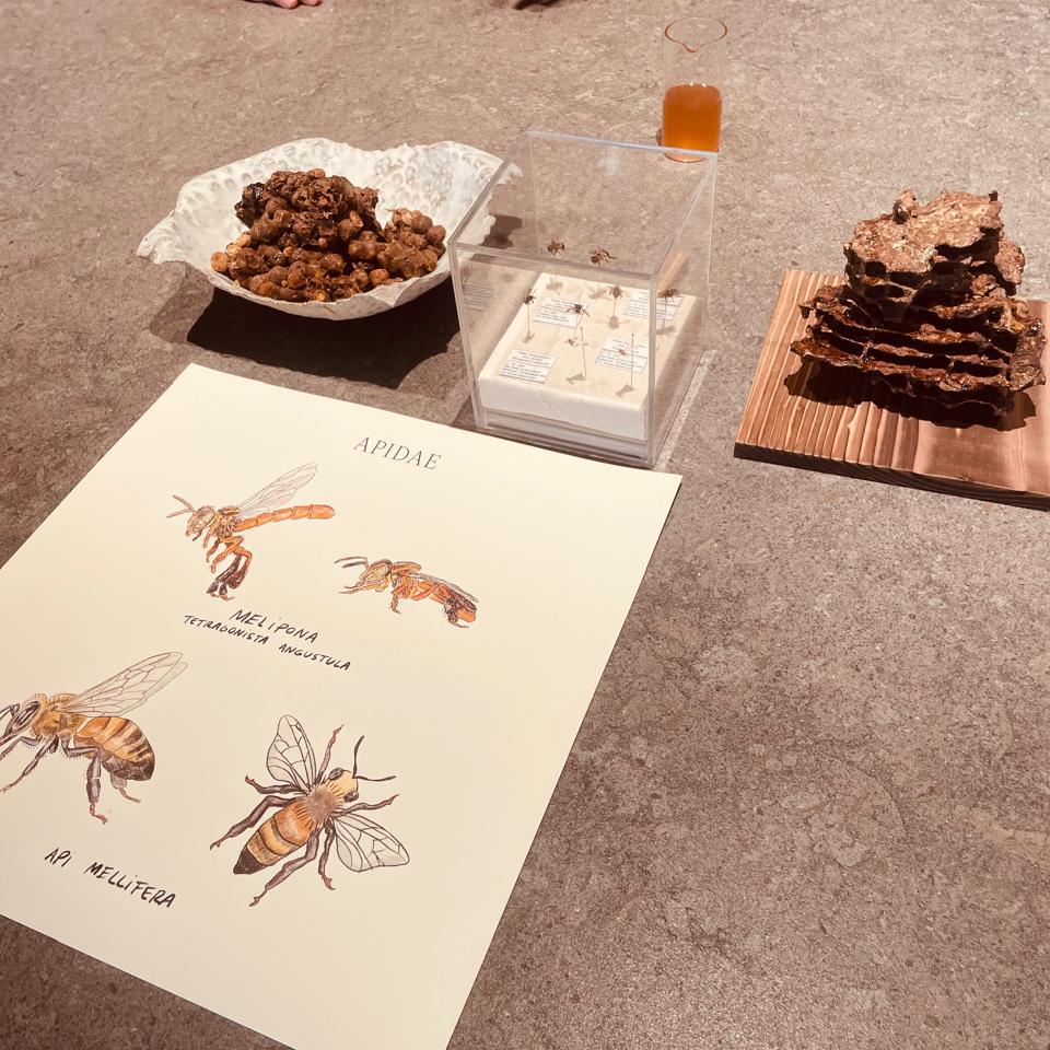 Central, abeja melipona